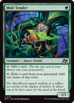 auto draft